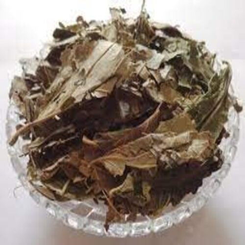 Parijat dried leaves,Harshringar Patta